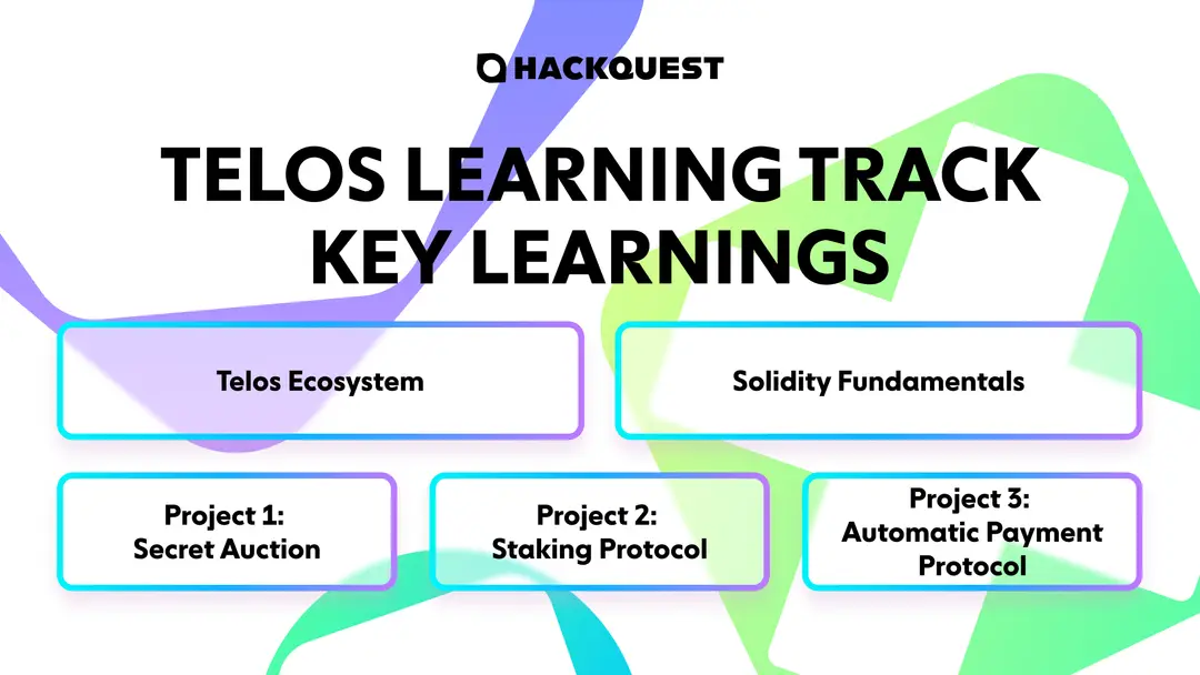 A-Step-by-Step-Guide-for-Telos-Learning-Track