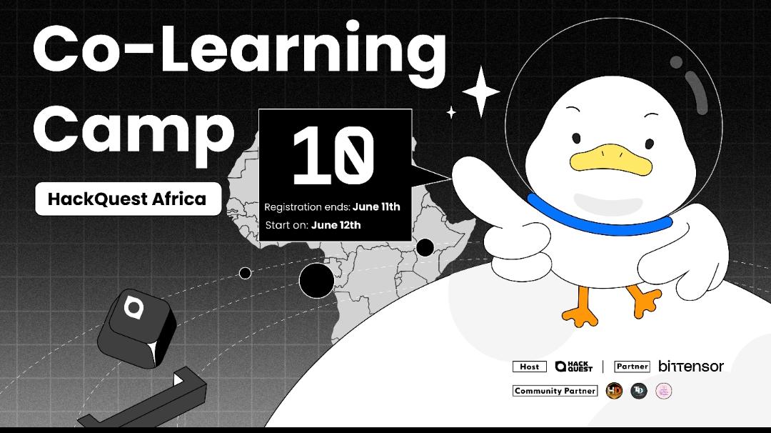 HackQuest Bittensor Co-Learning Camp 10 – Africa