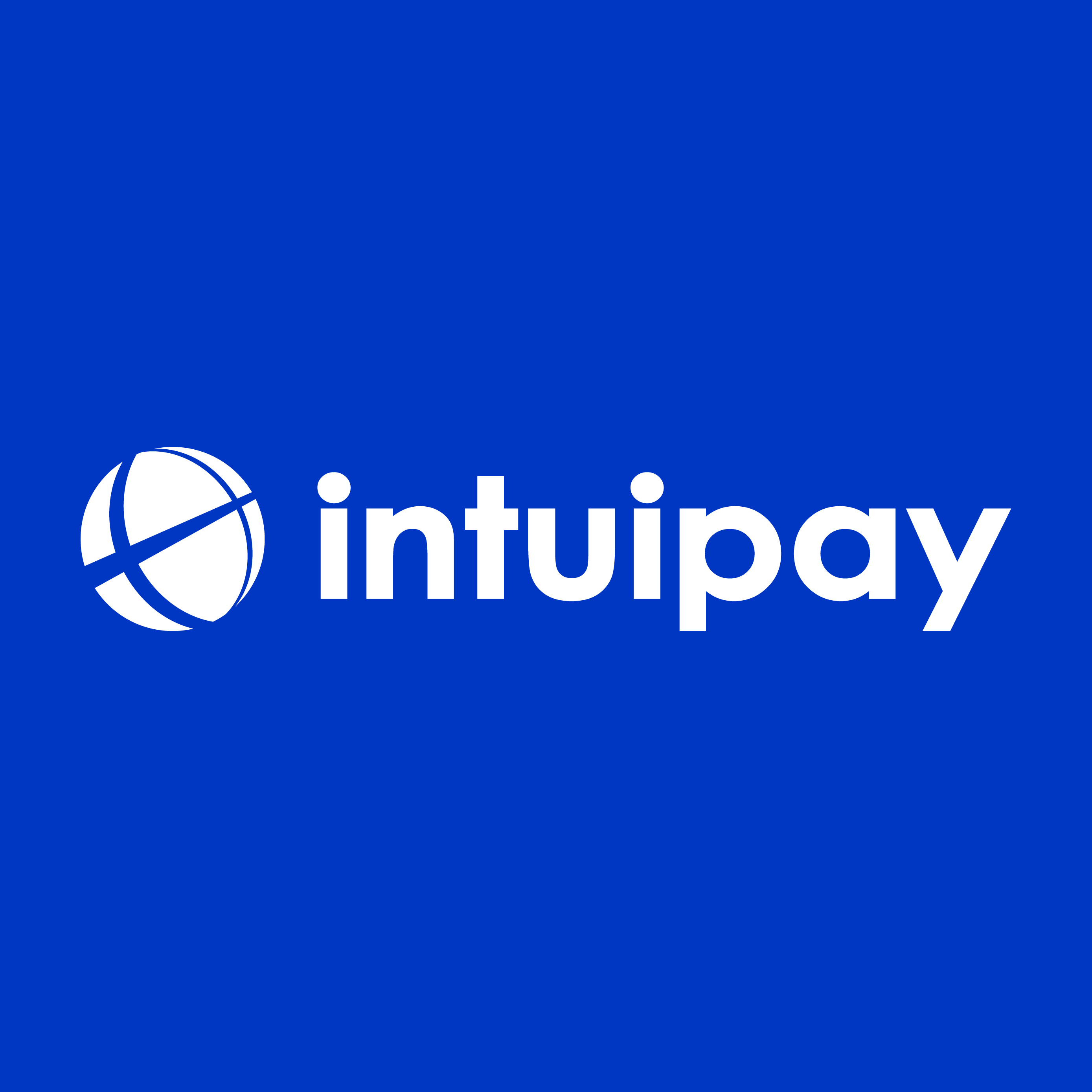 Intuipay