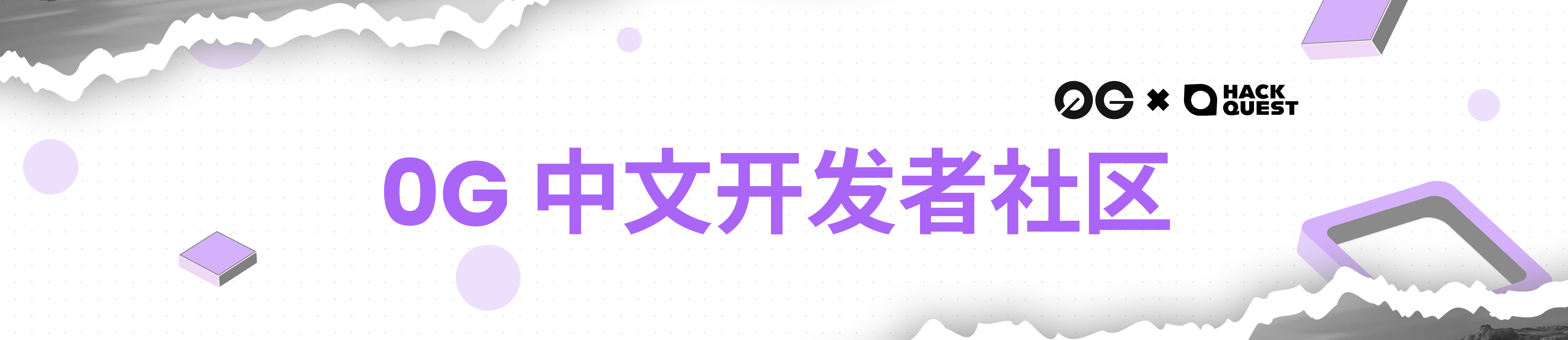 0G 中文开发者社区
